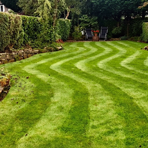 lawn stripes Back lawn mowing – Gardencare2000”